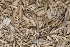 biomass boilers Tregew